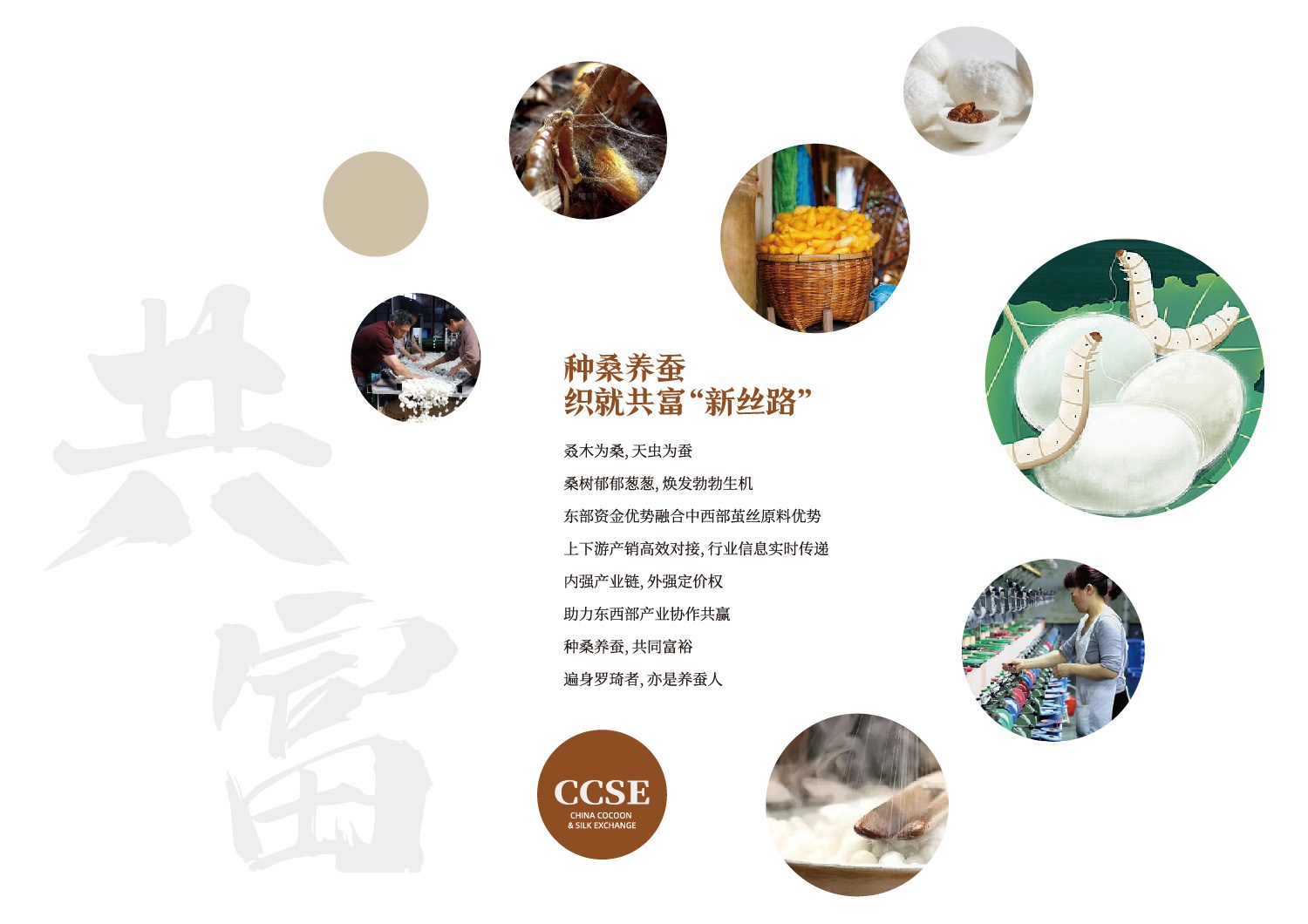 1717471504558255 共富